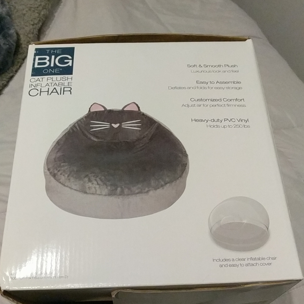 Inflatable Chair